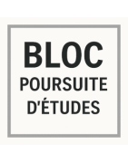 BLOC POURSUITE D'ÉTUDES (D)