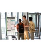 Intelligence Artificielle ( IA )