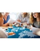 International Business ( IB )