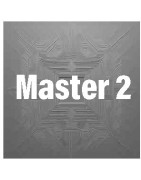 Master 2
